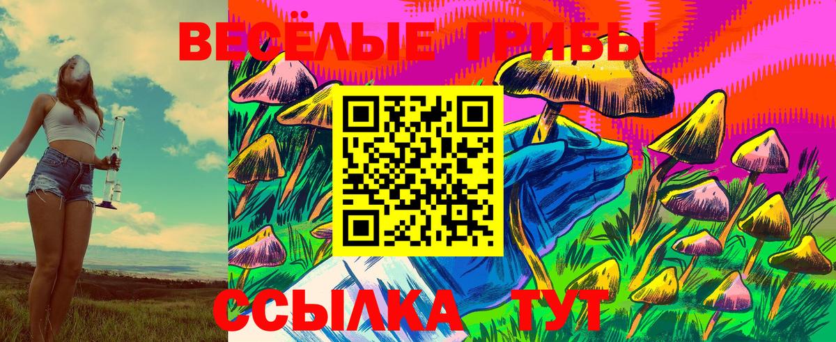 Осинники  Галлюциногенные грибы GOLDEN TEACHER  Вход с VPN  Галлюциногенные грибы Psilocybe 